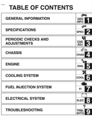 Free online download YZFr1 PDF Manual LIT-11616-17-55